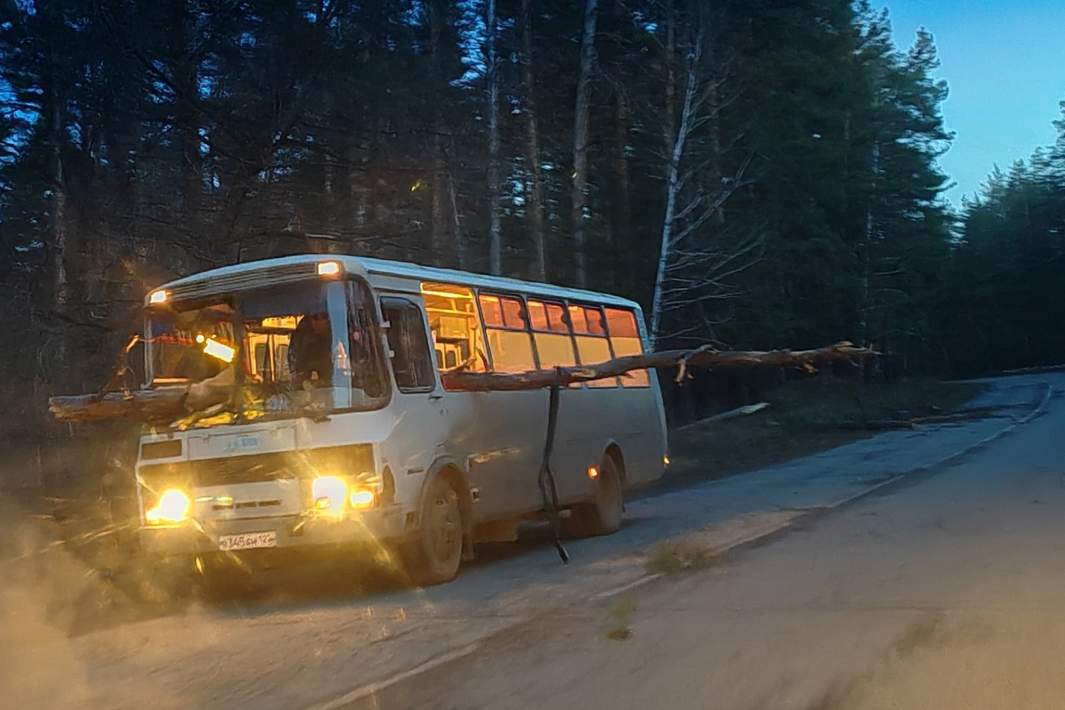 Правила поведения при урагане: на улице, в транспорте и в помещении